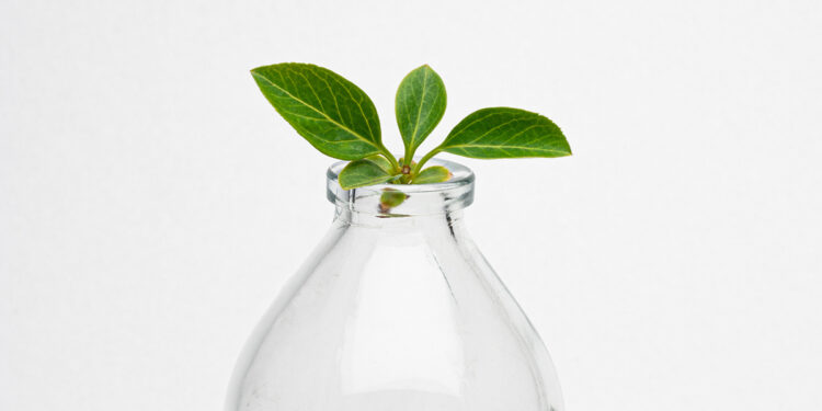 Ten inexperienced bottlenecks – Deutsche Financial institution